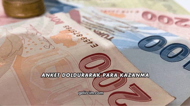 Anket Doldurarak Para Kazanma