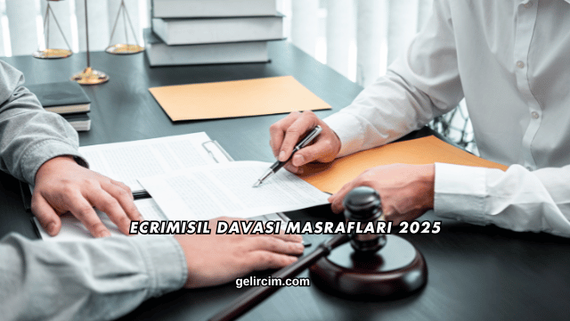 Ecrimisil Davası Masrafları 2025